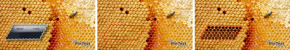 PinTest aplikace na plástu včel